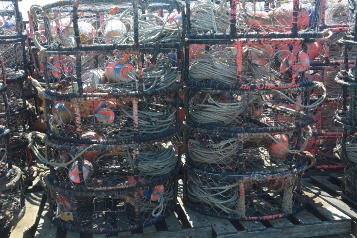 stacks of crab rings